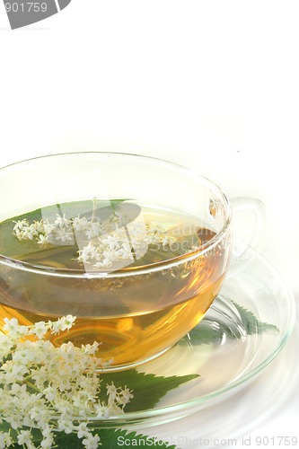 Image of Elderflower tea