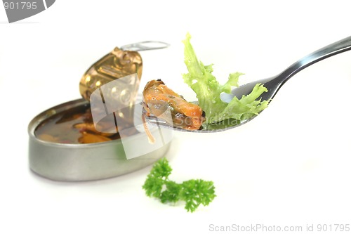 Image of Shell on a fork
