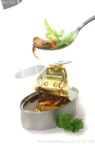 Image of Shell on a fork