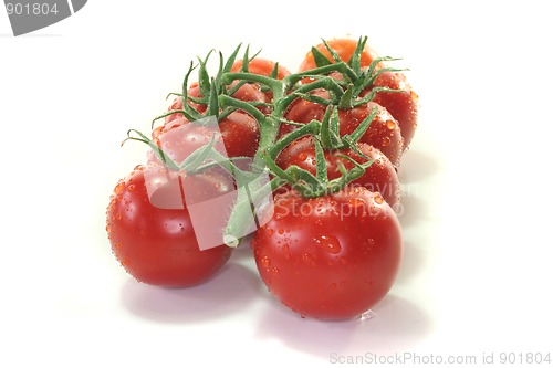 Image of Tomatoes