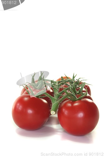 Image of Tomatoes