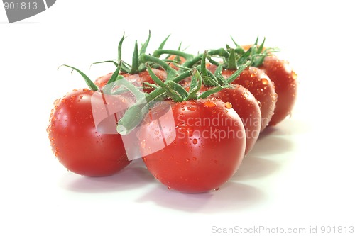 Image of Tomatoes