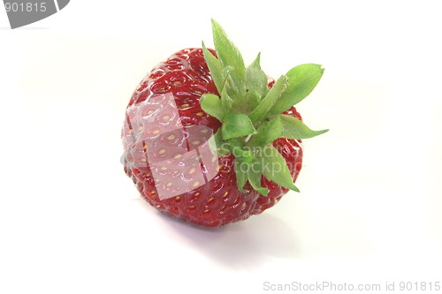 Image of Strawberry