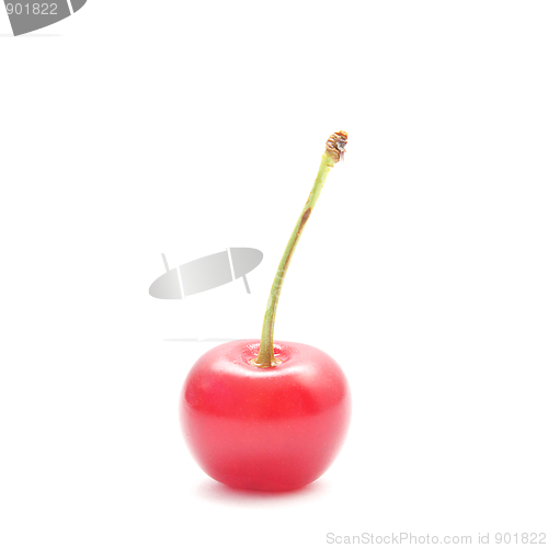 Image of Single ripe cherry isolated on white