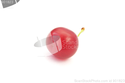 Image of Single ripe cherry isolated on white