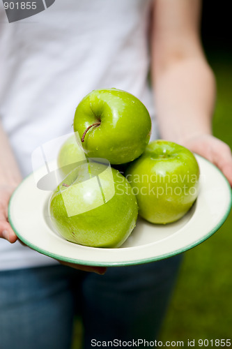 Image of Green juicy apples