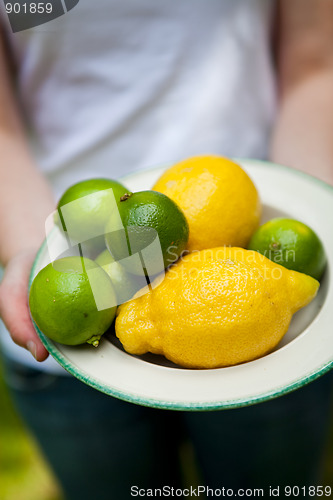 Image of Lemon and lime on a plate