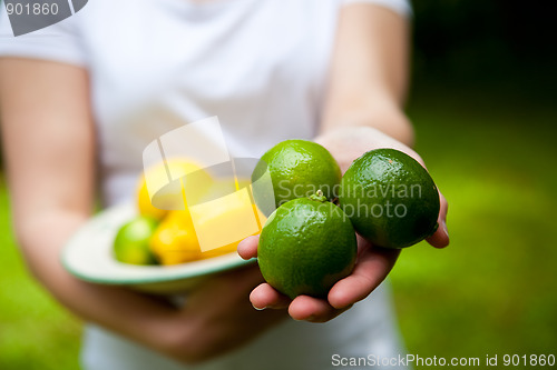 Image of Lemon and lime on a plate