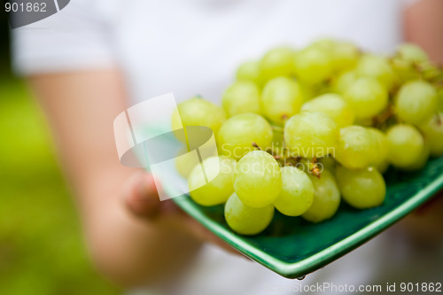 Image of Fresh green grapes