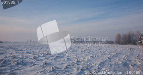 Image of Snow covered field in sun  just after blizzard 