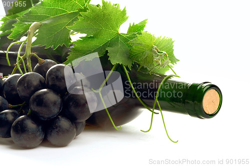 Image of bottle red wine with grape and leafs 