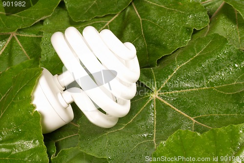 Image of Green energy