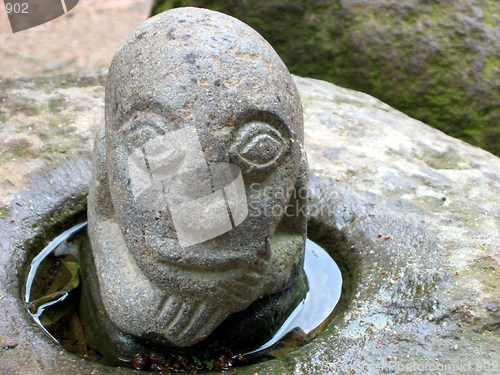 Image of The Head