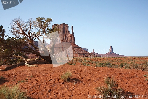 Image of Monument Valley NP, Arizona