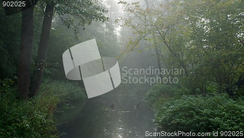 Image of Autumnal misty early morning by forest river