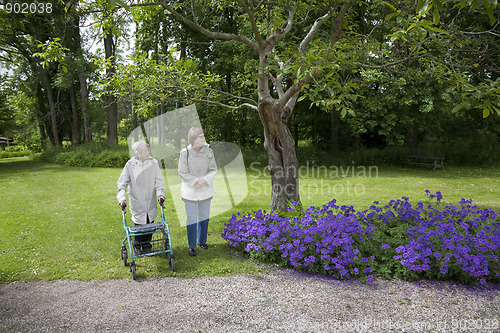 Image of Active seniors in park