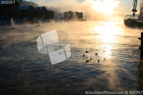 Image of Morning fog by the coast.