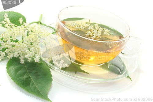 Image of Elderflower tea