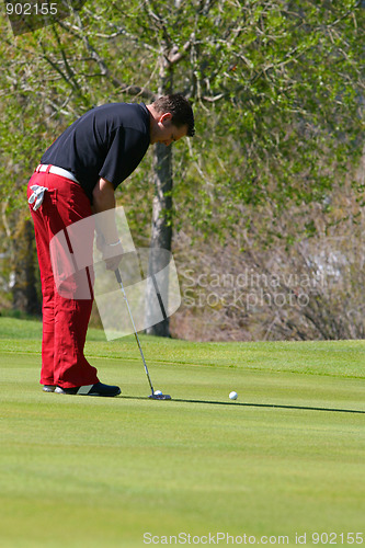 Image of Male golfer