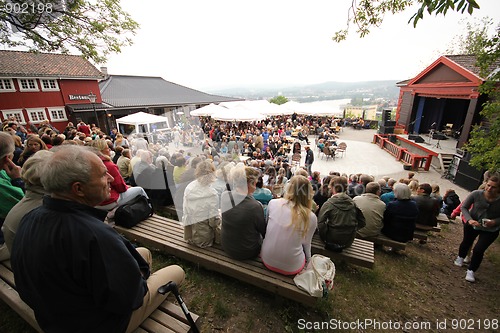 Image of Outdoor concert.