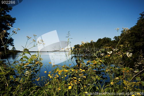 Image of Summer by the water