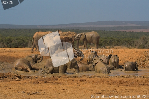 Image of Family day