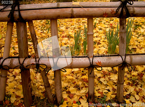 Image of Autumn Japanese Fence