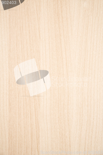 Image of Texture of wood background 