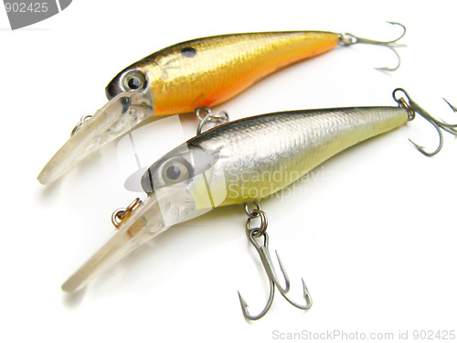 Image of beautiful fishing bait