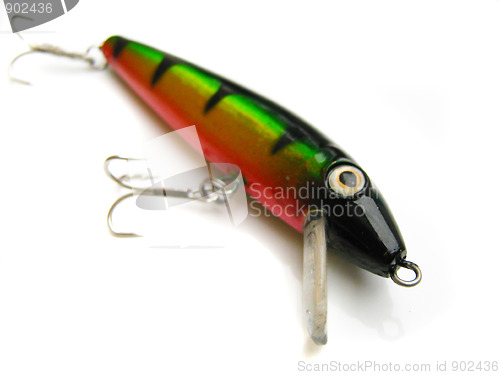 Image of beautiful fishing bait