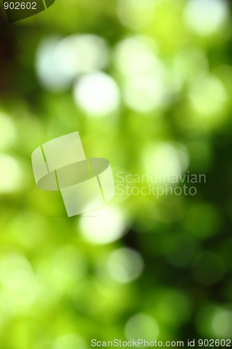 Image of Abstract green blurred background