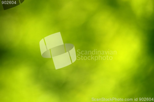Image of Abstract green blurred background