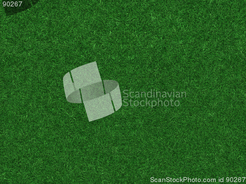 Image of Grass field