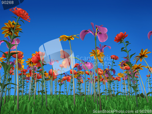 Image of The colors of spring