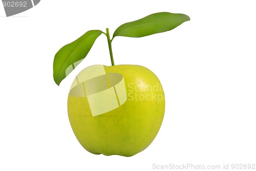 Image of fresh green apple with leaves