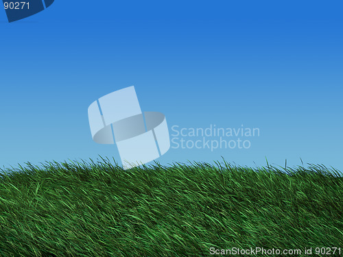 Image of Grass field in spring