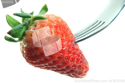 Image of strawberry