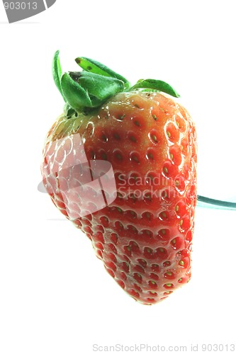 Image of strawberry