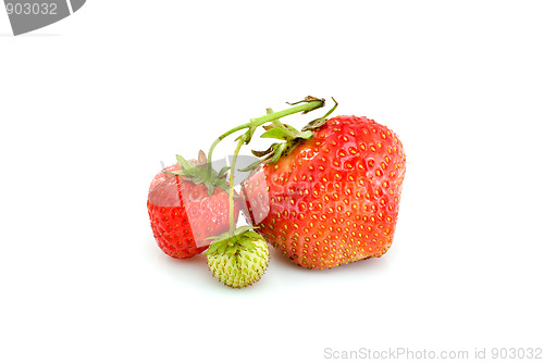 Image of One green, unripe and pair of ripe red strawberries