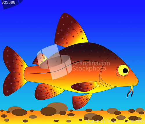 Image of colorful fish