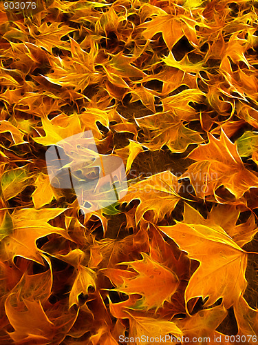 Image of autumn