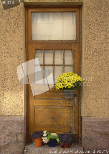 Image of Door of an old house and flowers