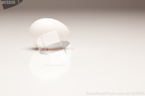 Image of White Egg on Gradated Background