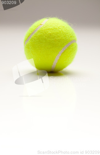 Image of Single Tennis Ball on Gradation with Slight Reflection