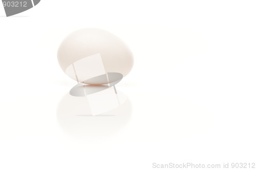 Image of Single Egg on White Background