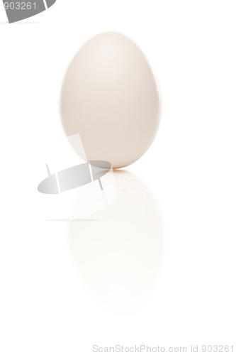 Image of Standing Egg on a White Background