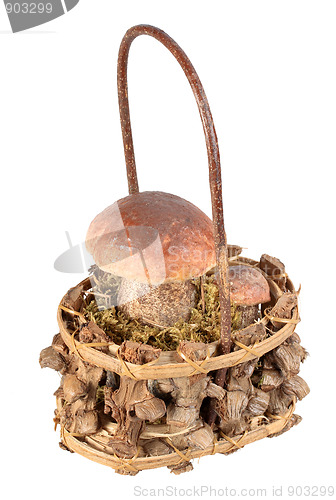 Image of Basket with two brown mushrooms