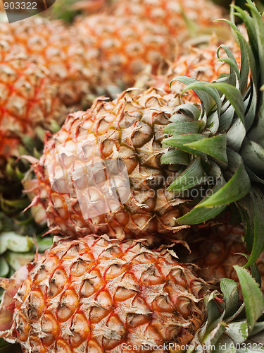 Image of Pineapples
