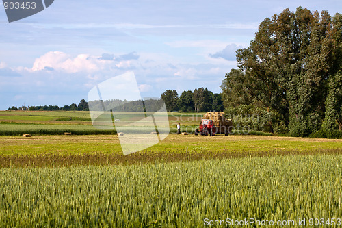 Image of Agricultural work
