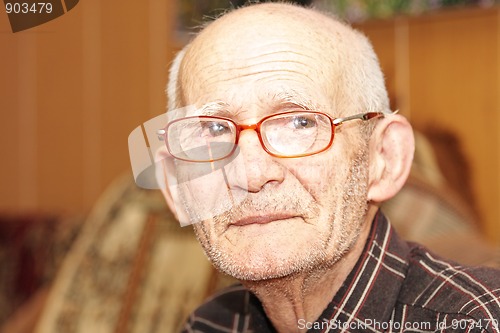 Image of Senior man indoor portrait